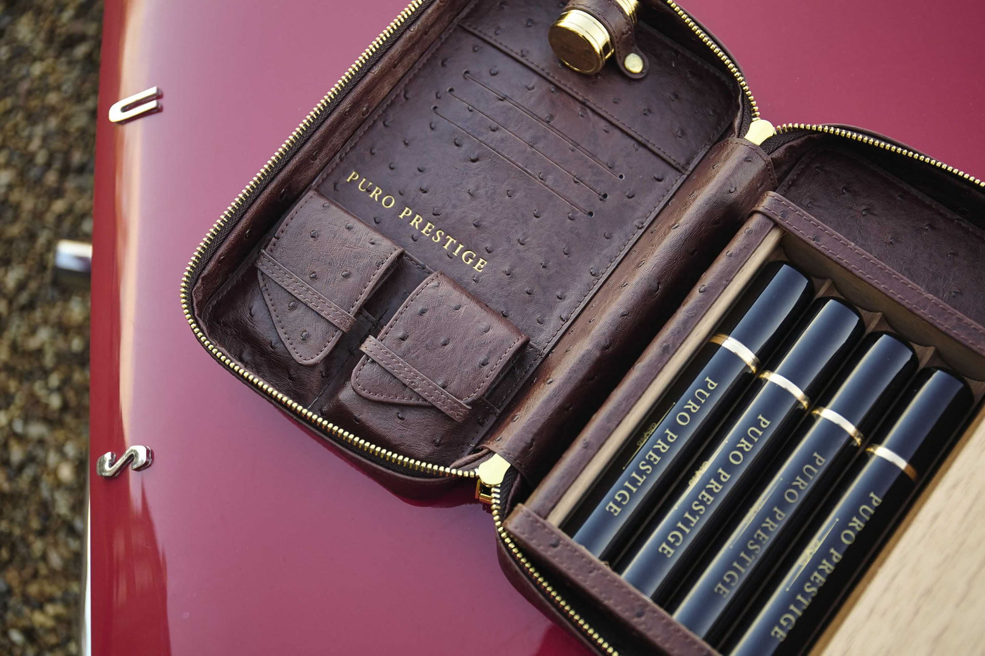 travel case cigar